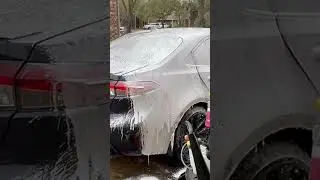 Foaming Down These Cars is So Relaxing #reels #cleaning #detailing #girl #music #asmr #car #work