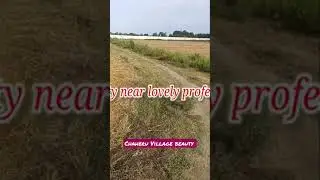 Chaheru Village Beauty Near Lovely Professional University || Phagwara Villages