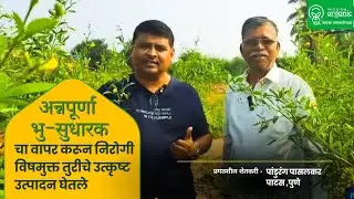 नैसर्गीक व पारंपरिक पद्धतीने निरोगी विषमुक्त तूर घेण्यासाठी हे करा ||Mission Organic ||