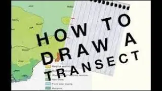 GEOGRAPHY PAPER 3, ACTUAL FIELD WORK, DRAWING  A LINE TRANSECT OR RELIEF SECTION FOR FIELD STUDY