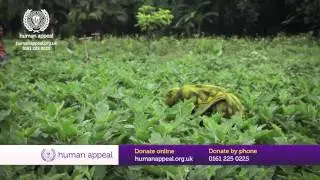 Help us Provide Irrigation Systems in Bangladesh