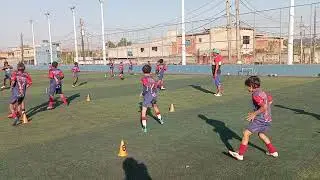 Projeto Phoenix VG.