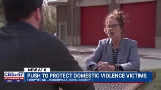 Florida lawmakers team up to better protect domestic violence victims