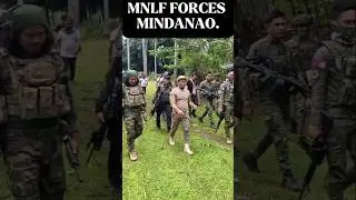 Mnlf forces. ✊