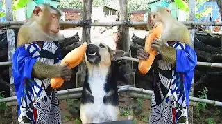 Watch This Smart SokYaa Share Food with Phao You Won't BELIEVE This