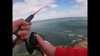 First time fishing Filey Brigg 