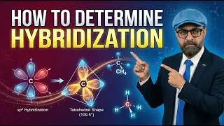 L-1:EASY TRICK| HOW TO CALCULATE HYBRIDIZATION| WITH LOTS OF EXAMPLES
