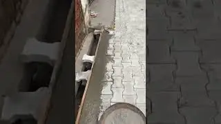 Tiles of street complete#shorts