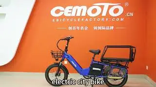 The Ultimate Utility E-Bike? CEM-AEB69 | 150kg Load Capacity & Hydraulic Brakes
