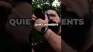 Quiet Moments Changed The Way I Shoot