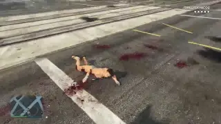GTA V LIVE RAMPAGE -Director Mode!!!