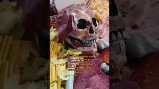 Halloween Party Grazing Table Idea.