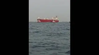 #Mooring boat#ship#Red sea#Tug boat#berthing
