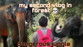 #forest adventure with friends 🕷️