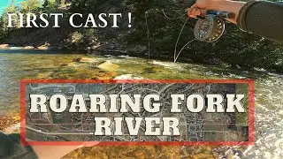 Fly Fishing the Roaring Fork River in Colorado || Dry Fly Action!