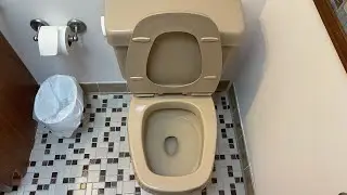 Tuscan Tan 1987 Eljer Emblem Toilet
