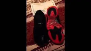 Rephot Pickups