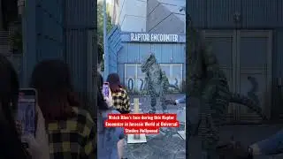 Блю Раптор сходит с ума в парке развлечений &laquo;Мир Юрского периода&raquo; в Universal Studios Hollywood