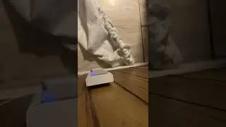 Halloween Ring Doorbell And Chime