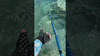 Releasing A Jurassic Lake Rainbow Trout