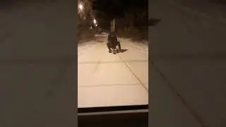 Поездка 2