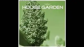 Hermanez - Confetti