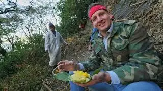Best Ever Food Review Show! I Fed Joe Rogan Mad Honey From Nepal Here s How I Got It