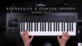 Kebu - Expressive E Osmose improv: 