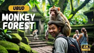 Ubud Monkey Forest 2025: Ultimate Guide to Bali&rsquo;s Sacred Sanctuary