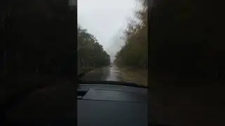 #road #rain #weather #autumn #automobile #car #trend