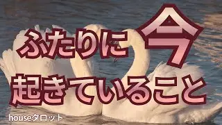 【呼び合う魂❤️‍🔥】あなたの声が聞こえたの…互いの弱さを認める時👶👧
