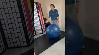 Swiss ball exercises