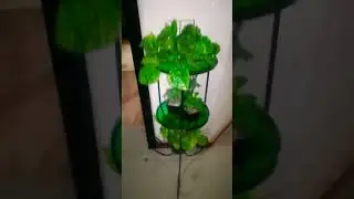 Decoration Plants ideas | Yt #shorts daily | Plants Hub Official&trade; #trending #trending #youtubeshorts