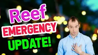 Reef Emergency🔴 Update!! Today || Reef Price Prediction || Crypto News Today