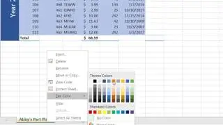 MS Excel Change Sheet Name and Tab Color