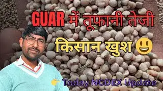 NCDEX ग्वार में जबरदस्त तेजी 🚀 || Guar Seed Today Price , ग्वार का ताजा मण्डी भाव