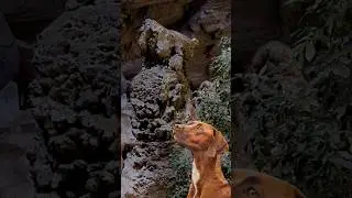 Forma&ccedil;&otilde;es s&oacute; encontradas na Gruta do Janel&atilde;o - Parque Nacional Cavernas do Perua&ccedil;u #patrimoniounesco