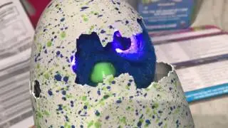 Hatchimals Blue Draggle Hatching