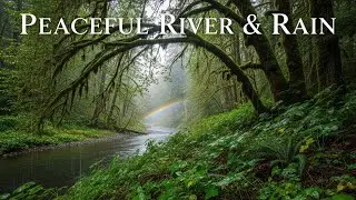 Soothing Rain Sounds with Quiet River Ambience for Anxiety Relief and Inner Peace