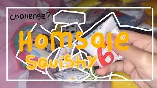 HOMESALE SQUISHY challenge?