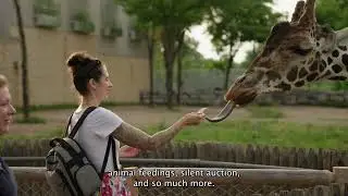 Experience Sunset at the Zoo 2025 | Detroit Zoo&rsquo;s Ultimate 21+ Fundraising Event