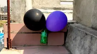 balloon pop | 218 | Cute couple Tom and Jerry balloon
