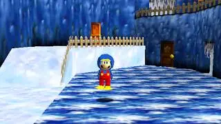 SM64 Penguin Slider 64