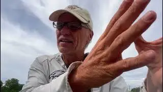 Genesis 1 and 2 establish the foundation of your new life in Christ 