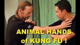 KUNG FU BASICS 蔡李佛 - #8    ANIMAL HAND FORMS - Tiger, Dragon, Crane & more