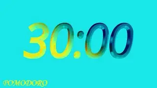30 Minute Timer - Study - Work - Deep Focus - Countdown Timer - No Music
