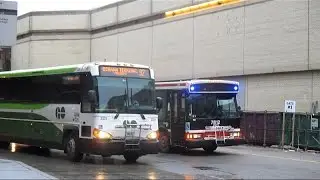 Buses in Toronto, ON (Volume One)