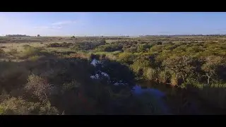 CUERPO DE BARRIO ~ LIBERTAD