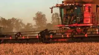 Rod and Andrew Messina harvesting at Mullewa WA.