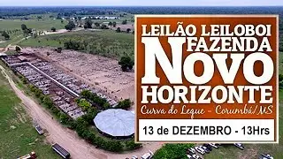 149&ordm; LEIL&Atilde;O LEILOBOI FAZENDA NOVO HORIZONTE (13/12/2025)